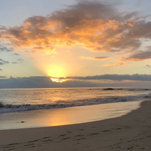 Meet your Posher, shoyulemonsugar - Picture 2 of 2